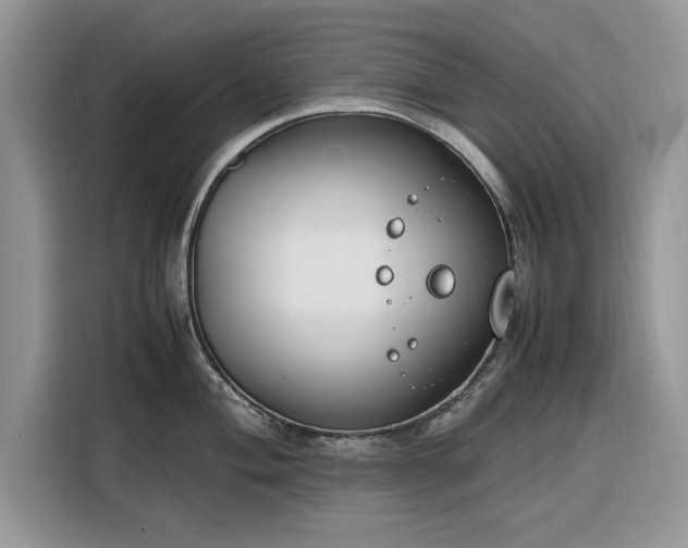 X0000116291004200912071207