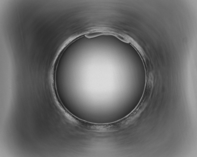 X0000116291005200912071207