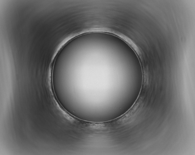 X0000116291006200912071207