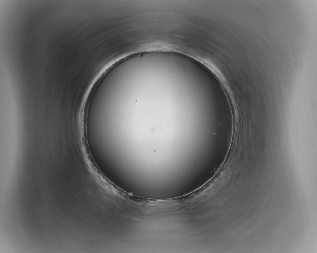 X0000116291008200912071207