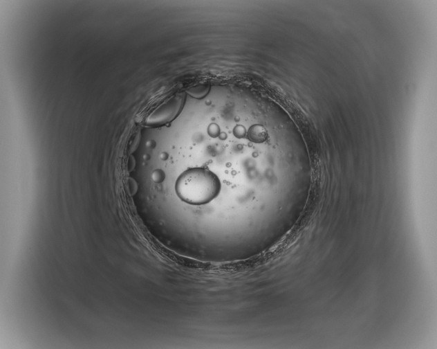 X0000116291009200912071206