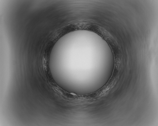 X0000116291010200912071206