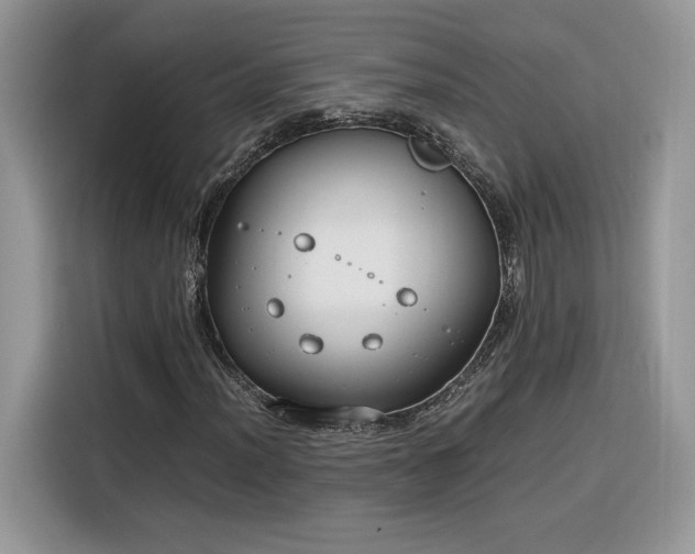 X0000116291012200912071206