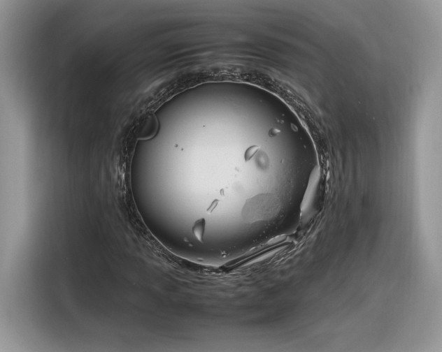 X0000116291013200912071206