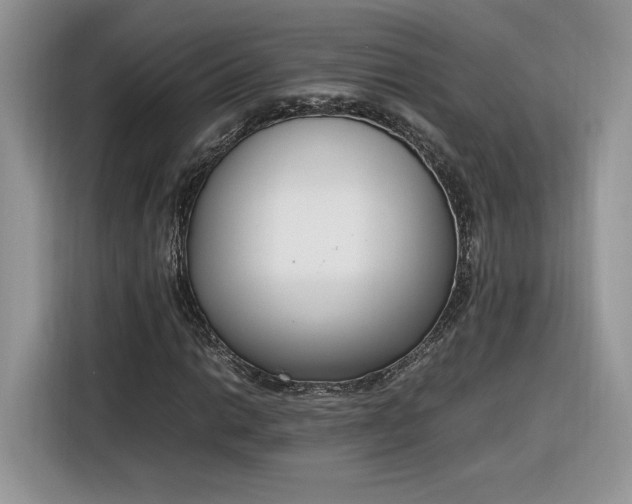 X0000116291014200912071206