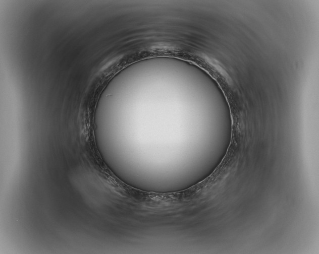 X0000116291015200912071206