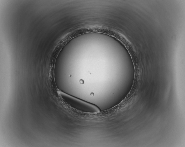 X0000116291016200912071206