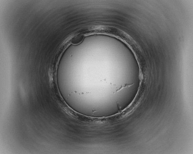 X0000116291017200912071206