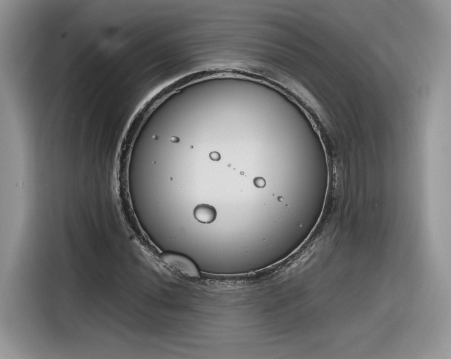 X0000116291020200912071206