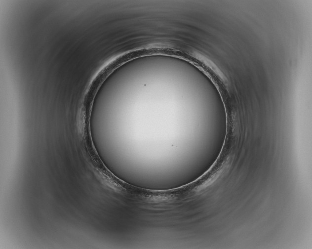 X0000116291021200912071206