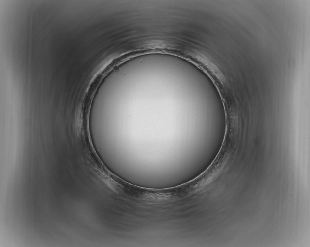 X0000116291023200912071206