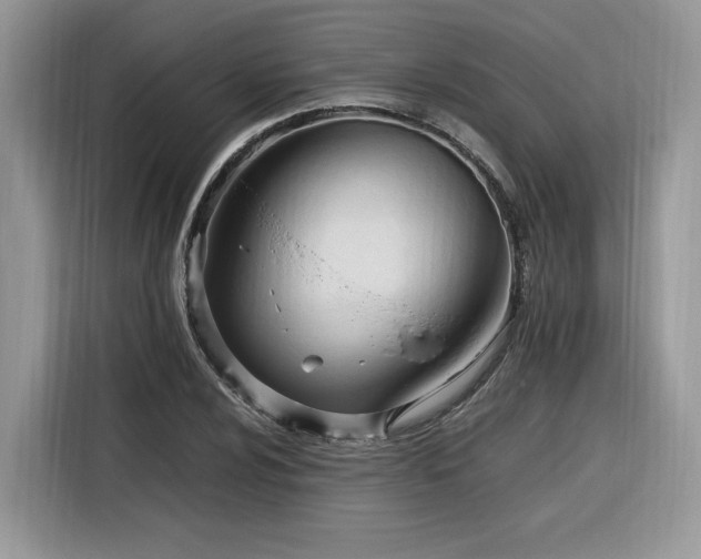 X0000116291024200912071206