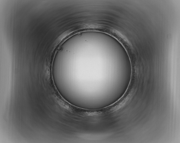 X0000116291025200912071206