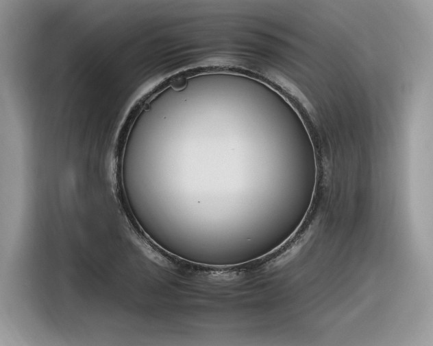 X0000116291029200912071207