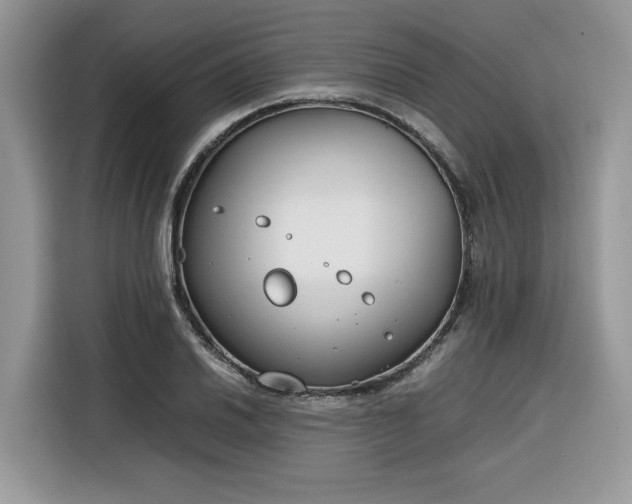 X0000116291030200912071207