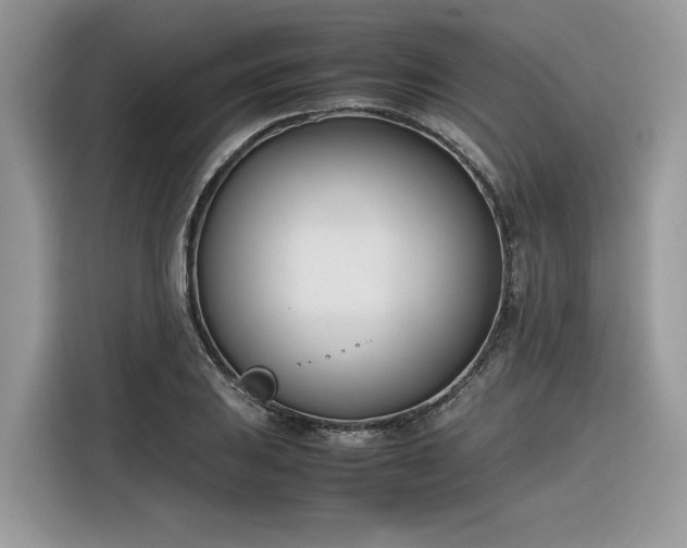 X0000116291031200912071207