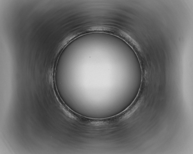 X0000116291033200912071207