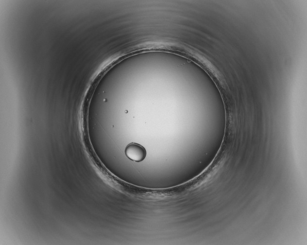 X0000116291034200912071207