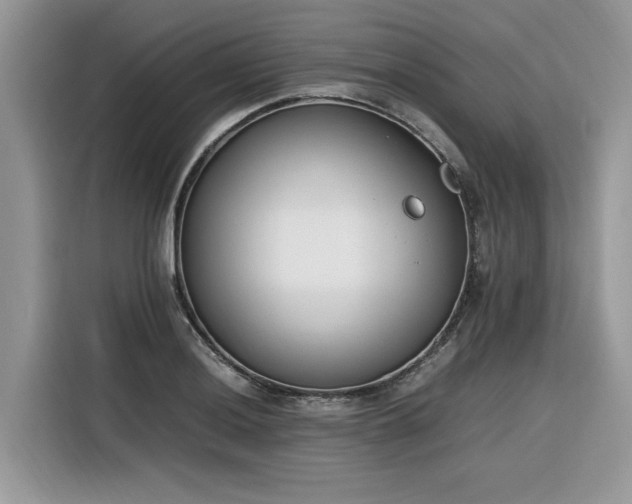 X0000116291036200912071207