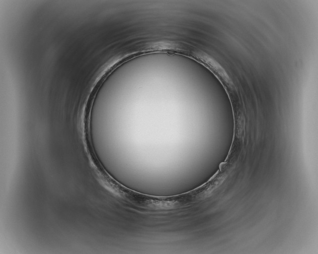 X0000116291039200912071207