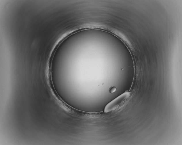 X0000116291040200912071207