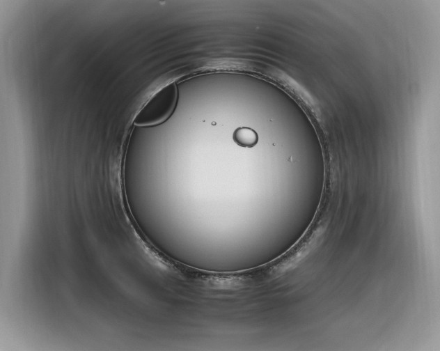 X0000116291041200912071207