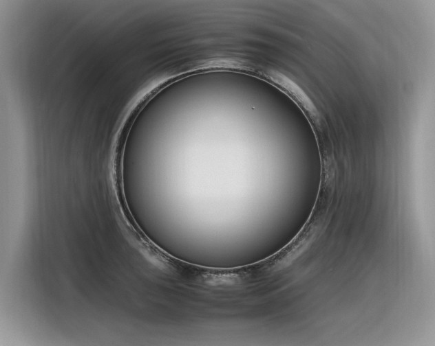 X0000116291043200912071207