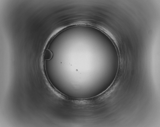 X0000116291045200912071207