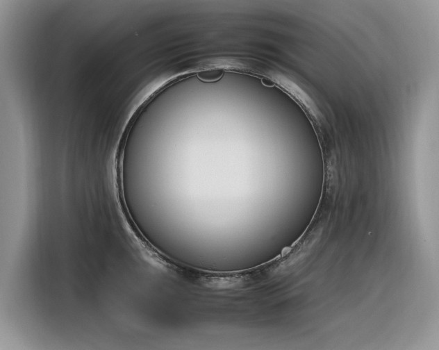 X0000116291047200912071207