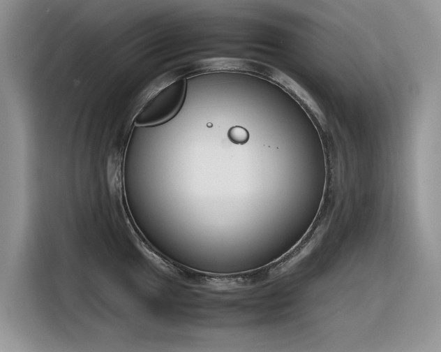 X0000116291049200912071207