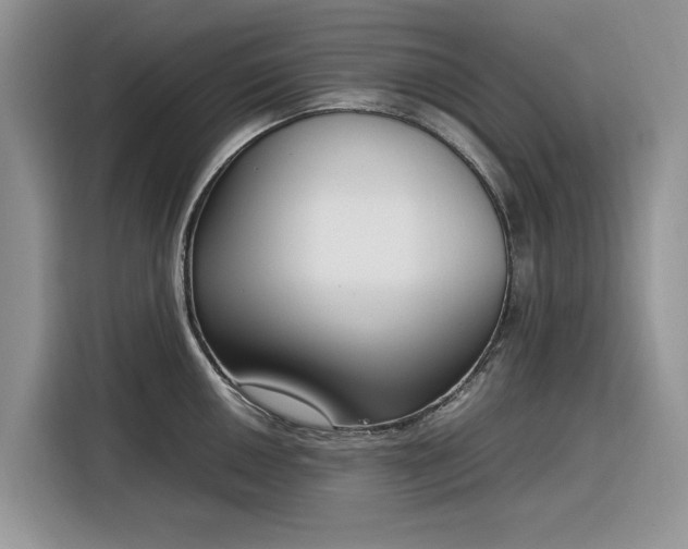 X0000116291050200912071207