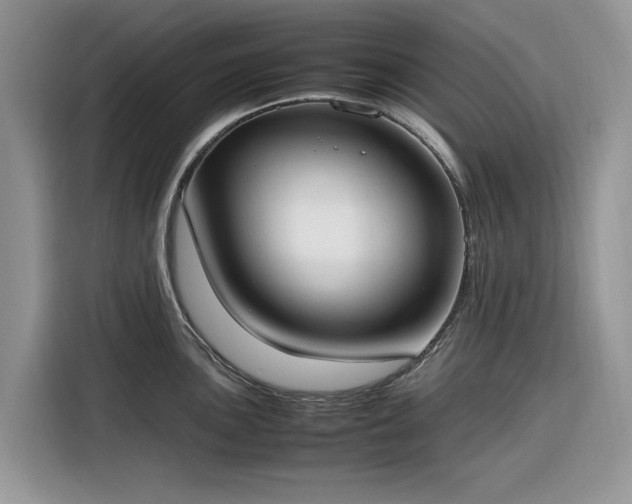 X0000116291051200912071207