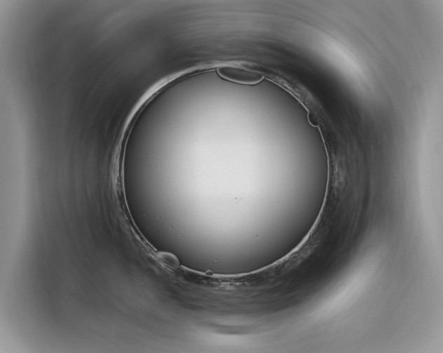 X0000116291052200912071207