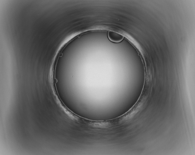 X0000116291053200912071207