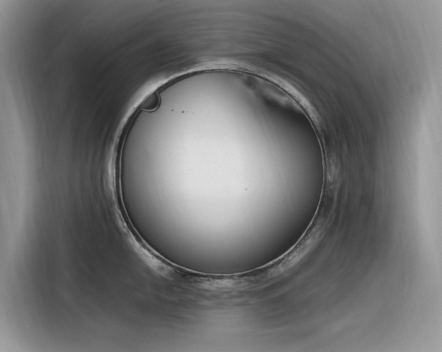 X0000116291054200912071207