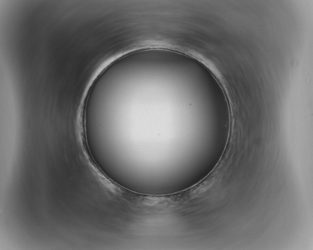 X0000116291056200912071207