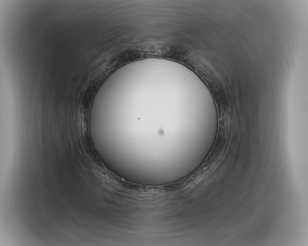 X0000116291058200912071206