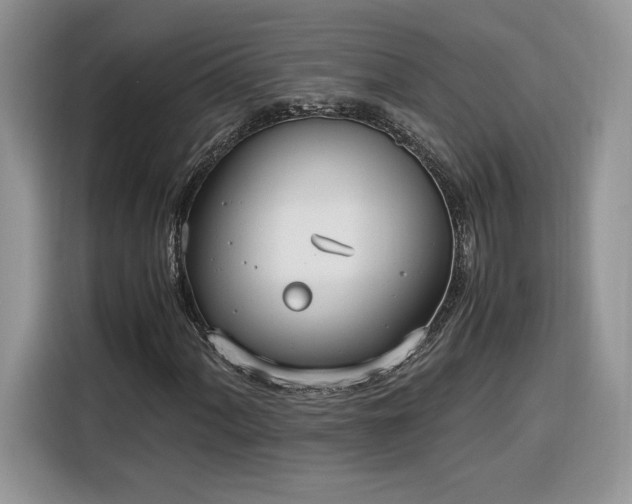 X0000116291060200912071206