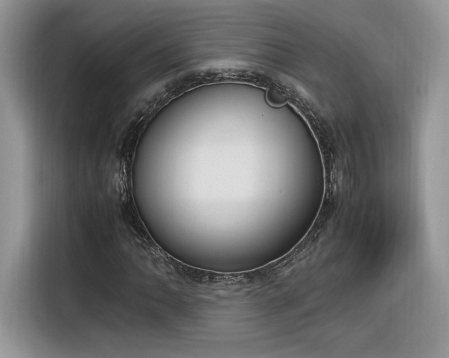 X0000116291062200912071206