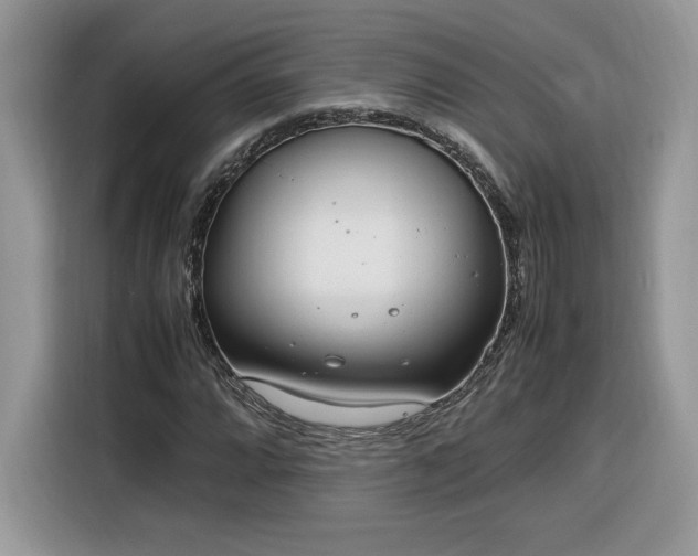 X0000116291064200912071206