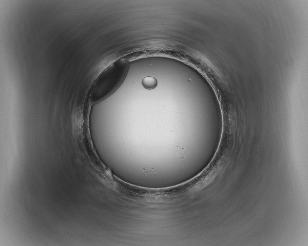 X0000116291065200912071206