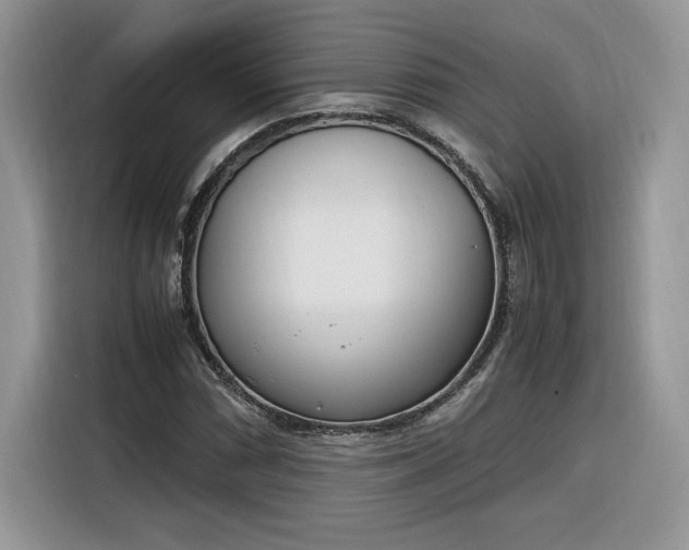 X0000116291066200912071206