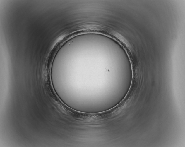 X0000116291067200912071206