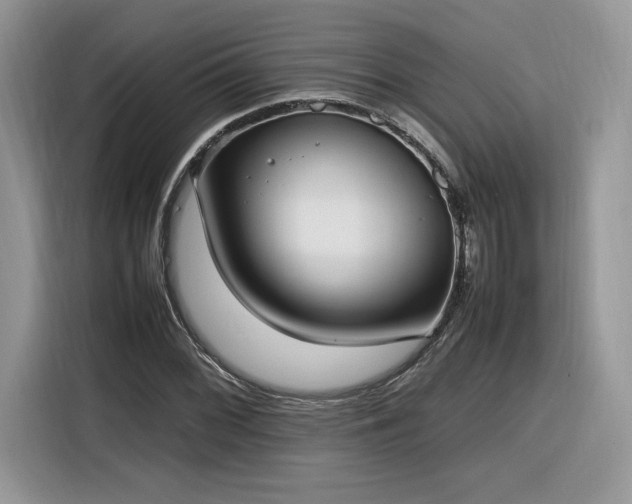 X0000116291068200912071206