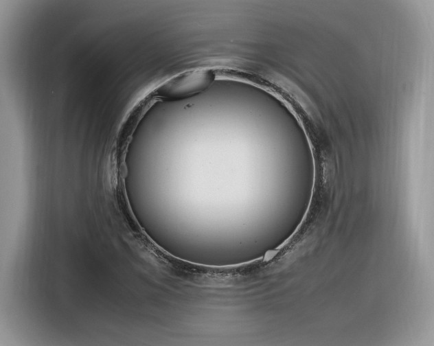 X0000116291069200912071206