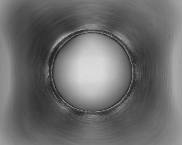 X0000116291070200912071206