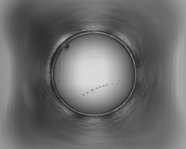 X0000116291071200912071206