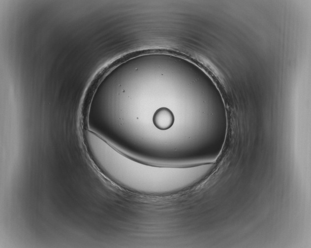 X0000116291072200912071206