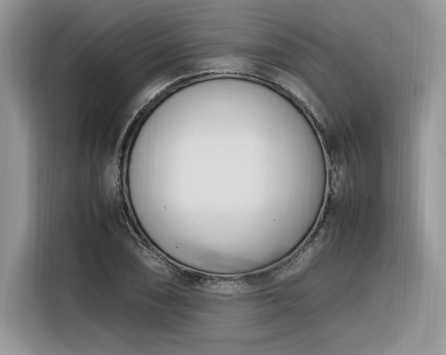 X0000116291074200912071206