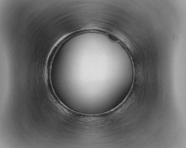 X0000116291076200912071206